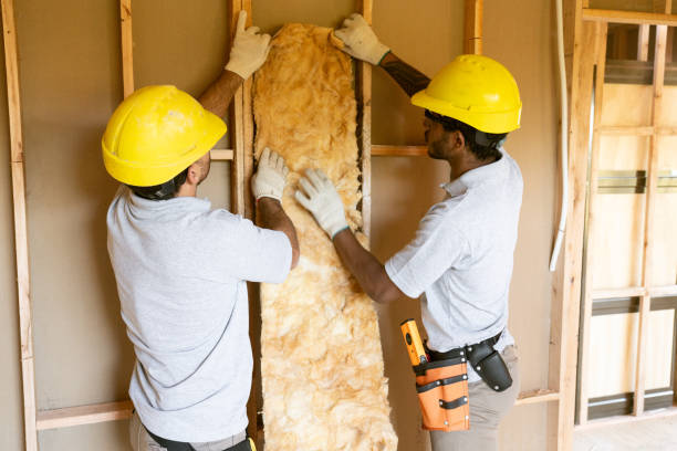 Eco-Friendly or Green Insulation Solutions in West Lealman, FL